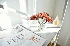 ARTICLES